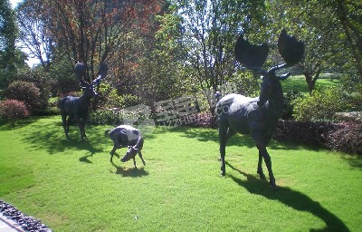 公園動物鑄銅雕塑定制